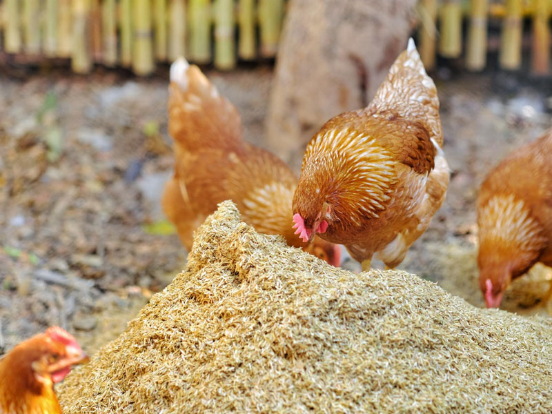 industries-we-serve-img1