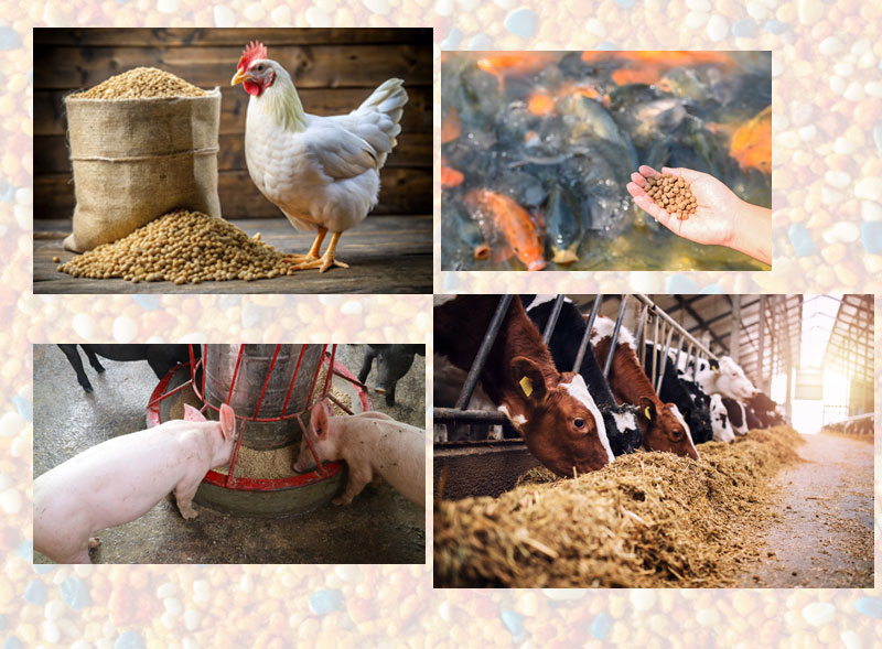 pellet-feed-plant-app-usage-right-side